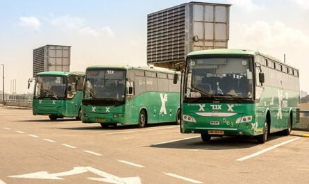 הוצאות תחבורה ציבורית