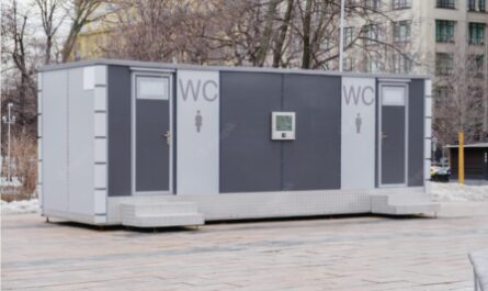 שירותים בחו''ל WC