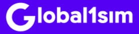 global1sim