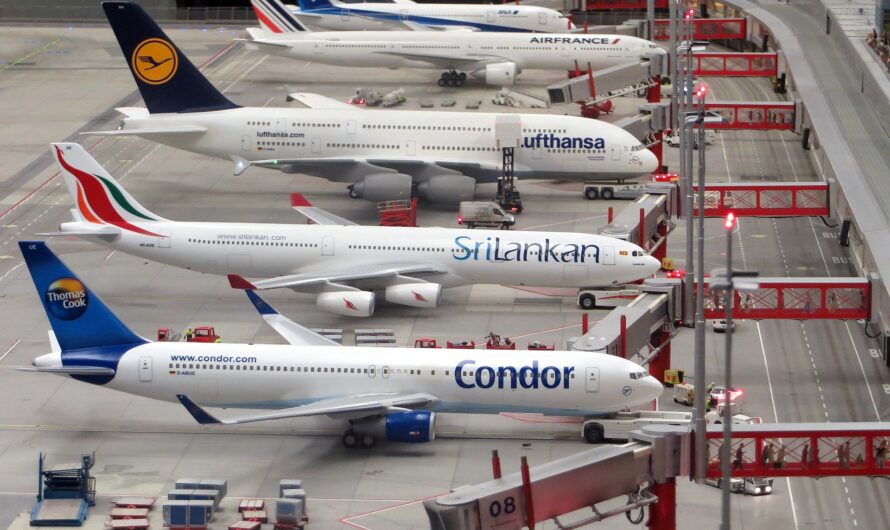 באיזה סוג טיסה הכי כדאי לטוס לחו"ל?